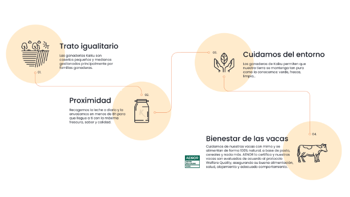 kaiku-sostenibilidad-graphic