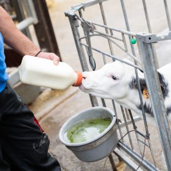 kaiku-sostenibilidad-ganderas
