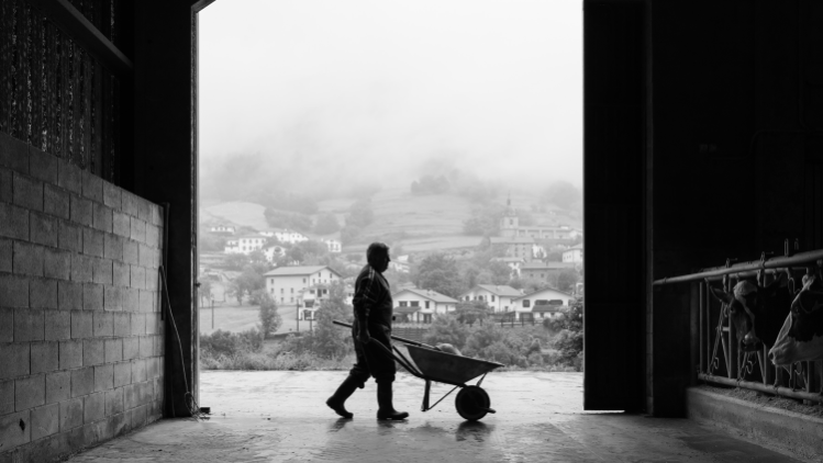 kaiku-conocenos-ganaderos-black-white